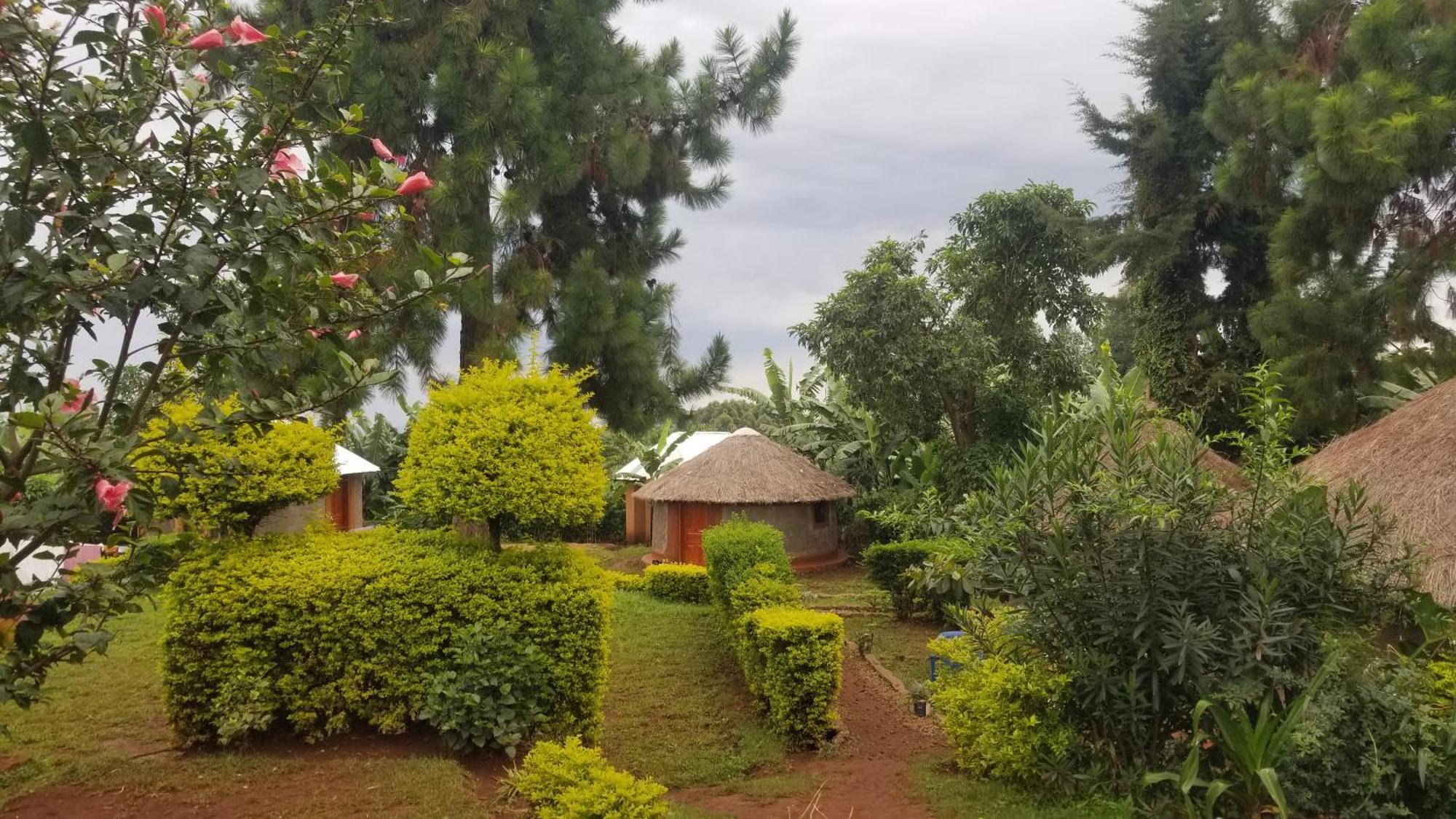 Hotel Rock Garden Sipi Kapchorwa Zewnętrze zdjęcie